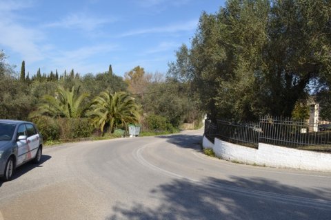 24000m² Land en Corfu, Greece No. 59810 8