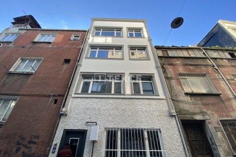 5+4 Villa en Istanbul, Turkey No. 14204 1