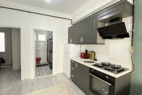 5+4 Villa in Istanbul, Turkey No. 14204 16