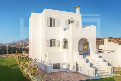 4 dormitorios Villa en Naxos, Greece No. 24303 1