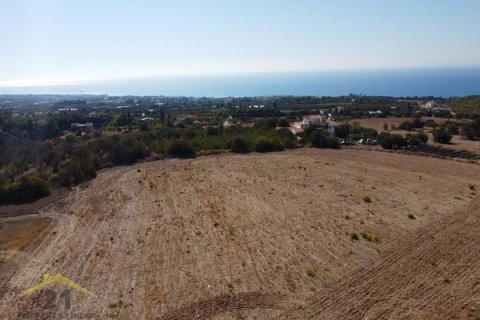 4 dormitorios Villa en Tala, Cyprus No. 39145 7