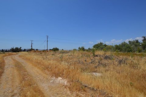 19566m² Land à Kouklia, Cyprus No. 37010 8