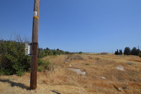 19566m² Land en Kouklia, Cyprus No. 37010 6