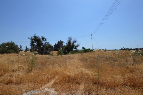 19566m² Land en Kouklia, Cyprus No. 37010 7