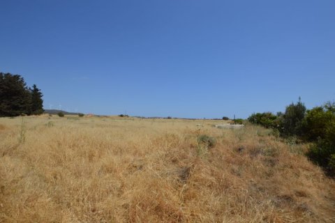 19566m² Land à Kouklia, Cyprus No. 37010 10