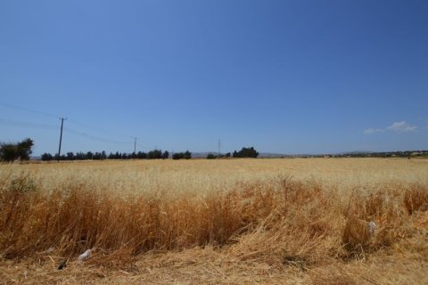 19566m² Land en Kouklia, Cyprus No. 37010 2