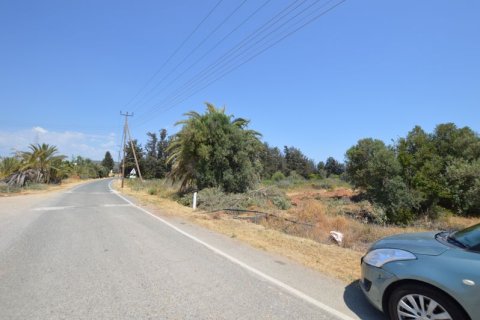 19566m² Land à Kouklia, Cyprus No. 37010 5