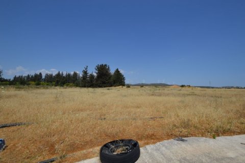 19566m² Land à Kouklia, Cyprus No. 37010 4