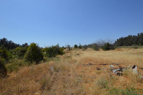 19566m² Land en Kouklia, Cyprus No. 37010 11