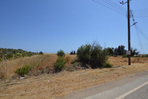 19566m² Land en Kouklia, Cyprus No. 37010 3