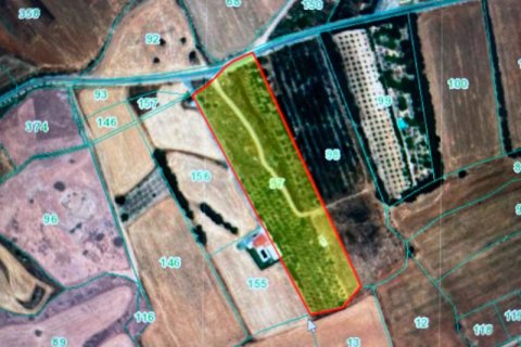 19566m² Land en Kouklia, Cyprus No. 37010 1