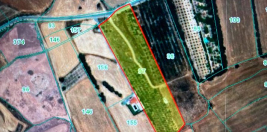 19566m² Land en Kouklia, Cyprus No. 37010