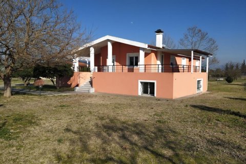 5 chambres House à Thermaic Gulf, Greece No. 56371 3