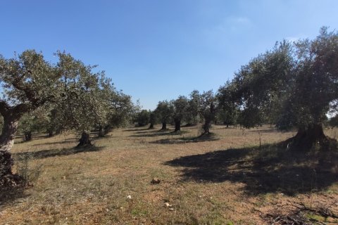 9000m² Land in Chalkidiki, Greece No. 56373 7