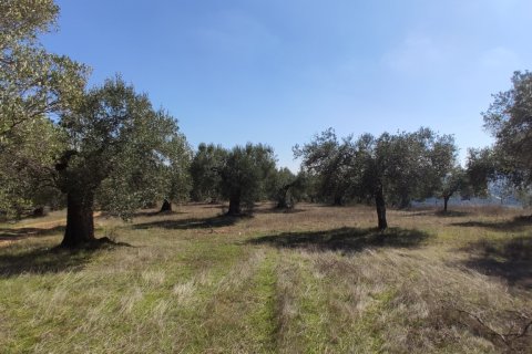 9000m² Land en Chalkidiki, Greece No. 56373 8