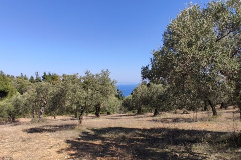 9000m² Land in Chalkidiki, Greece No. 56373 5