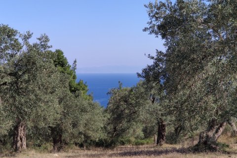 9000m² Land in Chalkidiki, Greece No. 56373 2