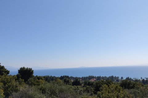 4170m² Land in Polygyros, Greece No. 56374 8