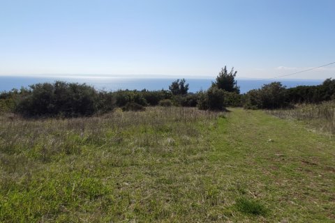 4170m² Land en Polygyros, Greece No. 56374 4