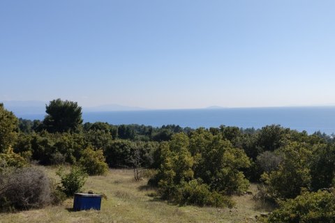 4170m² Land en Polygyros, Greece No. 56374 5