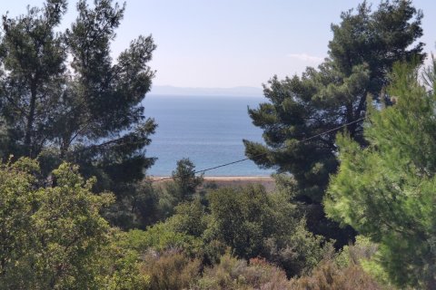 4170m² Land en Polygyros, Greece No. 56374 1