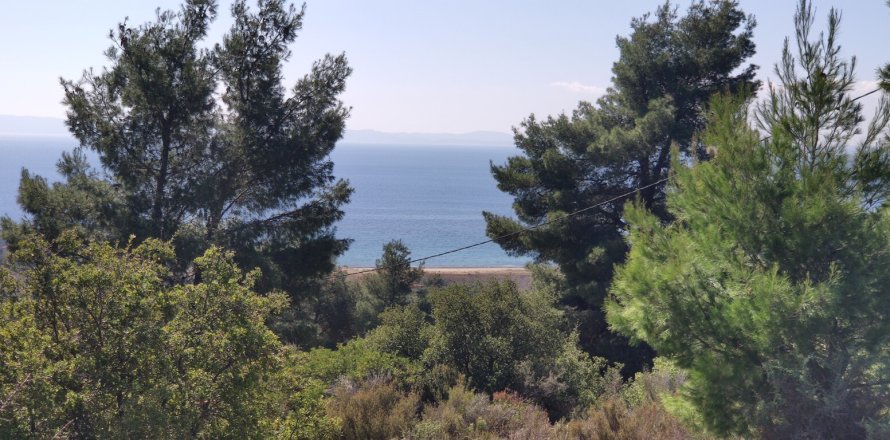 4170m² Land in Polygyros, Greece No. 56374