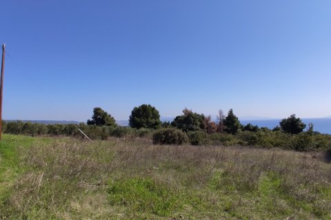 4170m² Land en Polygyros, Greece No. 56374 10