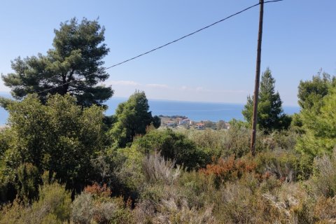 4170m² Land à Polygyros, Greece No. 56374 7