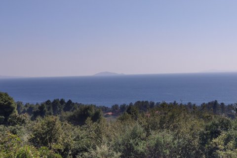 4170m² Land in Polygyros, Greece No. 56374 6