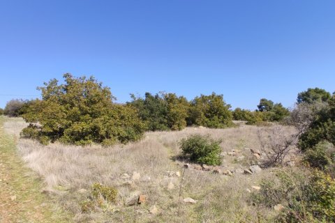 4170m² Land in Polygyros, Greece No. 56374 12