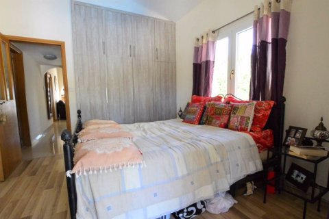 4 bedrooms Bungalow in Tala, Cyprus No. 36675 25