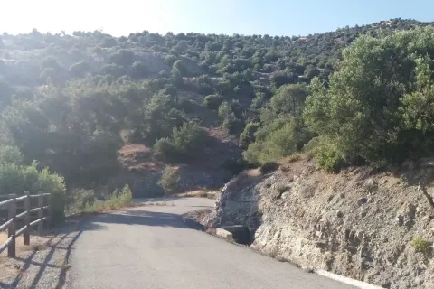 14000m² Land en Germasogeia, Cyprus No. 41981 2