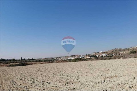 16177m² Land in Monagroulli, Cyprus No. 70199 5