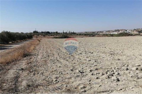 16177m² Land in Monagroulli, Cyprus No. 70199 1