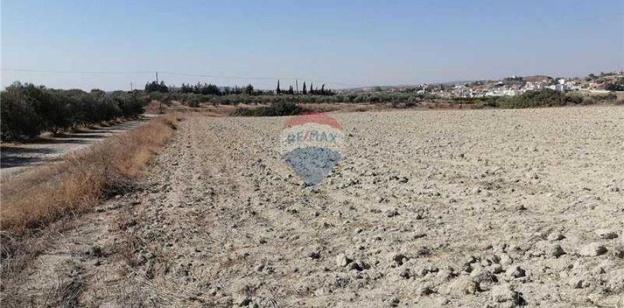 16177m² Land in Monagroulli, Cyprus No. 70199