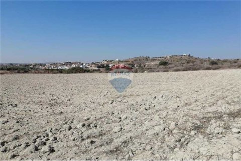 16177m² Land in Monagroulli, Cyprus No. 70199 4