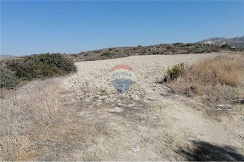 16177m² Land in Monagroulli, Cyprus No. 70199 6