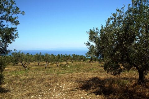 5200m² Land en Chalkidiki, Greece No. 60046 3