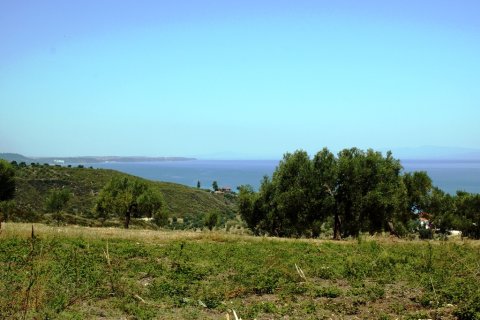 5200m² Land à Chalkidiki, Greece No. 60046 2