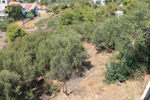 2155m² Land en Chania, Greece No. 60119 8