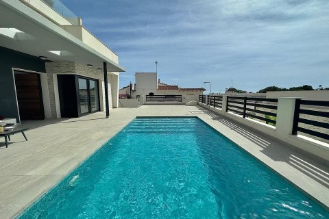 5 bedrooms Apartment in Los Balcones, Spain No. 26587 30