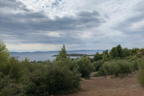 12458m² Land à Chalkidiki, Greece No. 56950 1