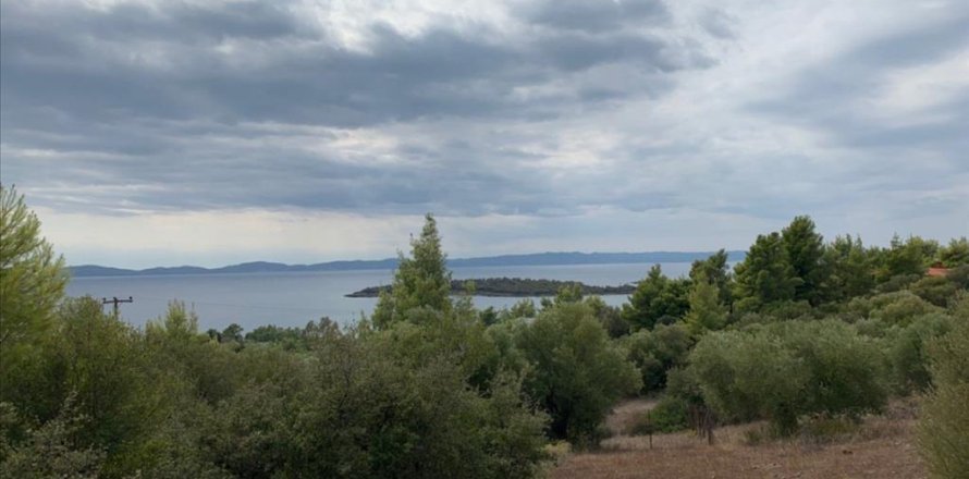 12458m² Land à Chalkidiki, Greece No. 56950