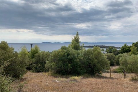 12458m² Land en Chalkidiki, Greece No. 56950 7