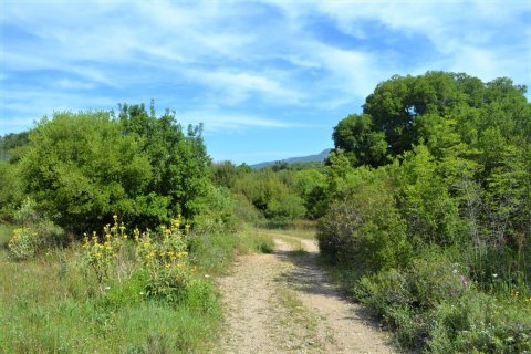 72000m² Land in Corfu, Greece No. 56952 8