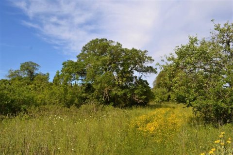 72000m² Land à Corfu, Greece No. 56952 4