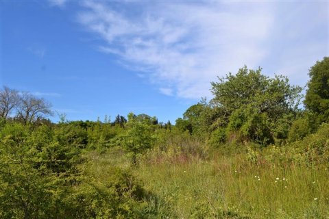 72000m² Land in Corfu, Greece No. 56952 10