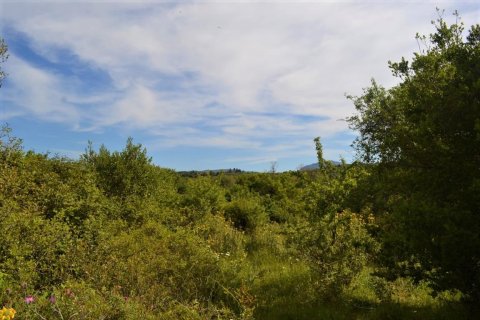 72000m² Land in Corfu, Greece No. 56952 12