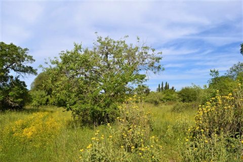 72000m² Land in Corfu, Greece No. 56952 3