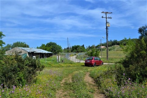 72000m² Land in Corfu, Greece No. 56952 14